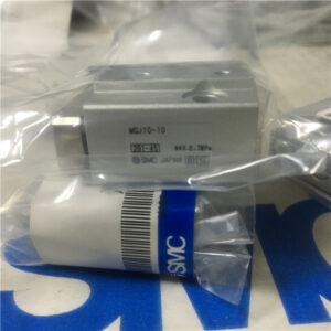MGJ10-10, SMC, Stock, Cylinder