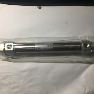 CDM2B20-100Z, SMC, Stock, Cylinder