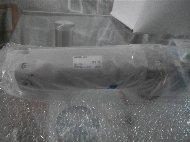 CKG1B50-100YZ, SMC, Stock, Cylinder