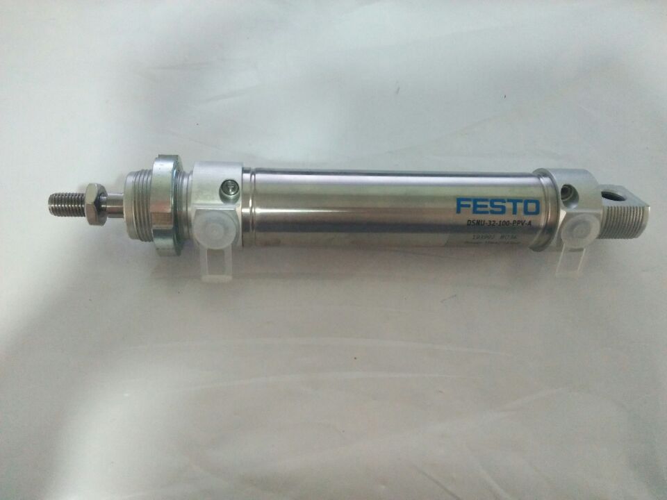 DSNU-32-15-PPV-A, 193992, Customized, Cylinder