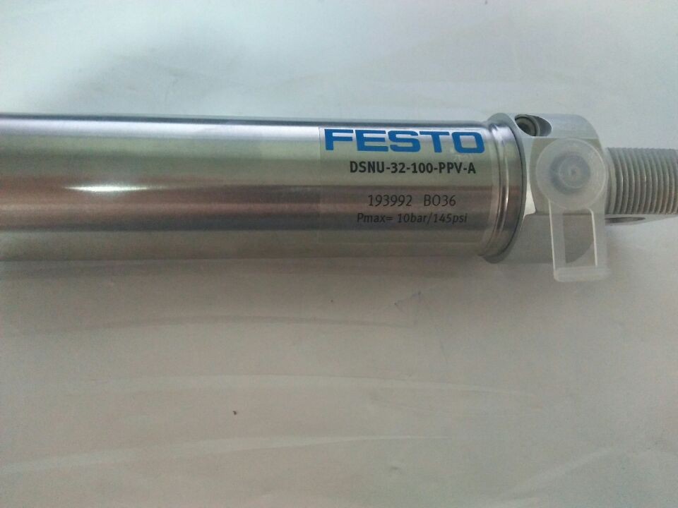 DSNU-32-15-PPV-A, 193992, Customized, Cylinder - 图片 2