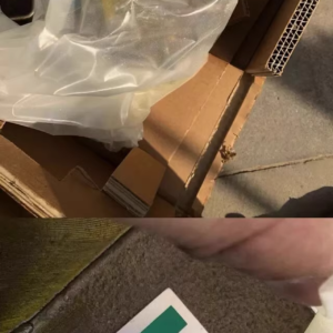 RGIS050-012090S5S5,New and original,In stock